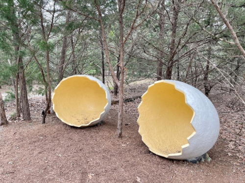 Two large, cracked egg shells sit on the forest floor, surrounded by trees and pine needles.