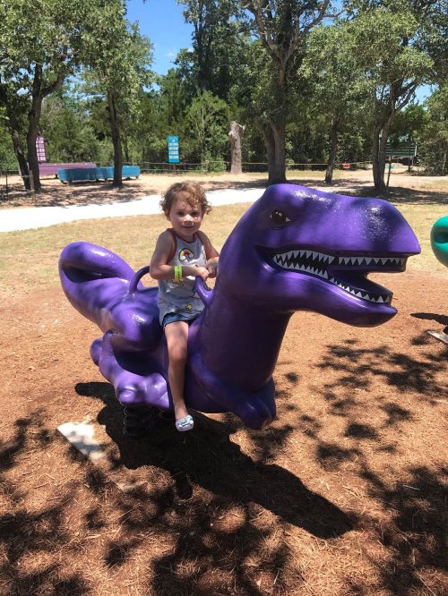 A child sits on a purple dinosaur spring rider in a sunny park surrounded by trees.