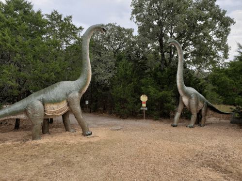 Two large dinosaur sculptures stand at the entrance of a wooded path, surrounded by trees and gravel.