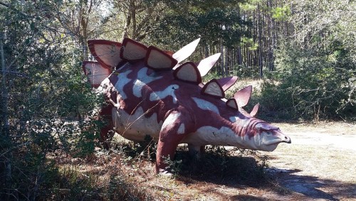 A life-sized model of a stegosaurus among trees and bushes in a natural setting.