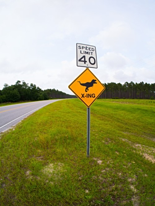 A road sign indicating a 4.0 speed limit and a caution sign for crossing dogs, set against a grassy roadside.