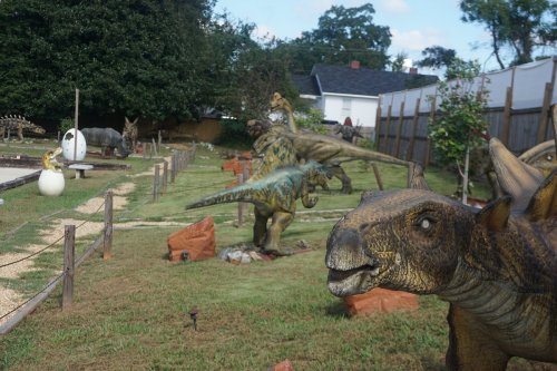 A dinosaur-themed garden featuring various dinosaur sculptures among greenery and rocks.
