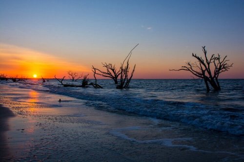 Sunset over a beach with silhouetted dead trees along the shoreline, waves gently lapping at the sand.
