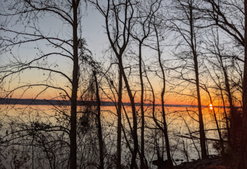 Silhouetted trees frame a serene sunset over a calm lake, with warm colors reflecting on the water's surface.