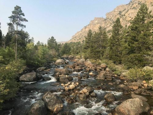 A serene river flows through a rocky landscape, surrounded by lush trees and mountains in the background.