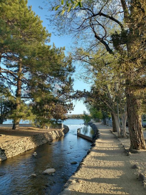A serene riverside path lined with trees, leading to a calm waterway and a small dock under a clear blue sky.