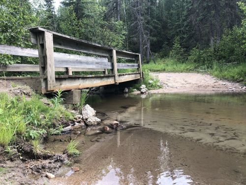 A wooden bridge over a shallow stream, surrounded by lush greenery and trees in a serene natural setting.