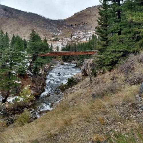 A wooden bridge spans a rushing river, surrounded by evergreen trees and rocky terrain in a mountainous landscape.