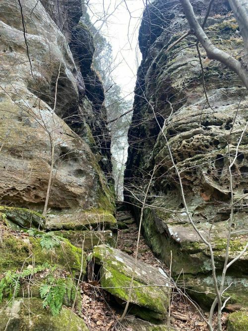 A narrow canyon between two large, moss-covered rock formations, surrounded by trees and sparse vegetation.