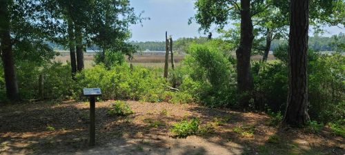 A scenic view of a marshland with trees and a sign, surrounded by lush greenery under a clear blue sky.