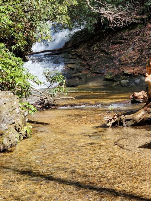 A serene stream flows through a rocky landscape, with lush greenery and a small waterfall in the background.
