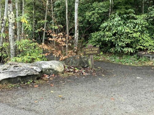 Sign for Lindy Point Overlook at a forested trail, surrounded by trees and rocks.