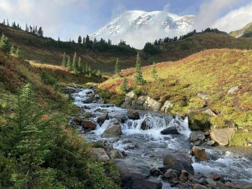 A serene landscape featuring a flowing stream, lush greenery, and a majestic mountain partially covered in clouds.