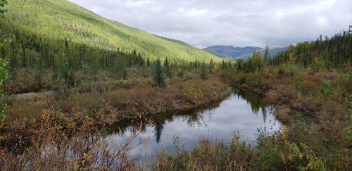 A serene landscape featuring a calm river reflecting green mountains and autumn foliage under a cloudy sky.