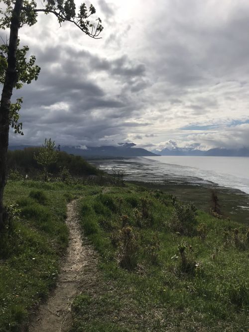 A winding path through green grass leads to a cloudy shoreline with mountains in the distance.