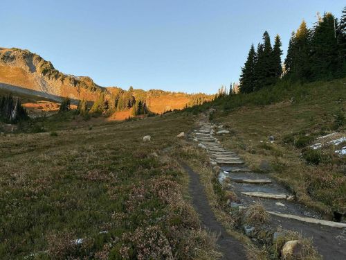 A winding wooden path through a grassy meadow, surrounded by trees and mountains under a clear blue sky.