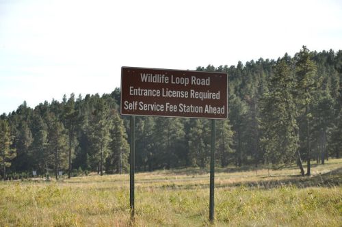 Sign for Wildlife Loop Road indicating entrance license required and self-service fee station ahead, with trees in the background.