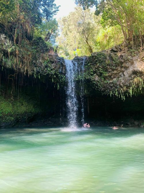 A serene waterfall cascades into a clear pool surrounded by lush greenery and trees.