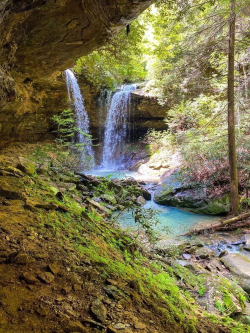 A serene waterfall cascades into a turquoise pool, surrounded by lush greenery and rocky terrain.