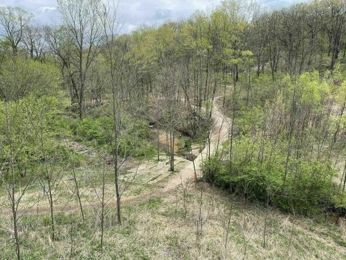 A winding dirt path through a lush green forest with trees and shrubs under a cloudy sky.