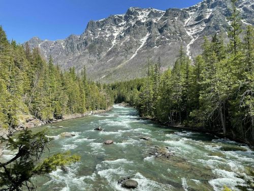 A clear river flows through a lush forest, surrounded by towering mountains under a bright blue sky.