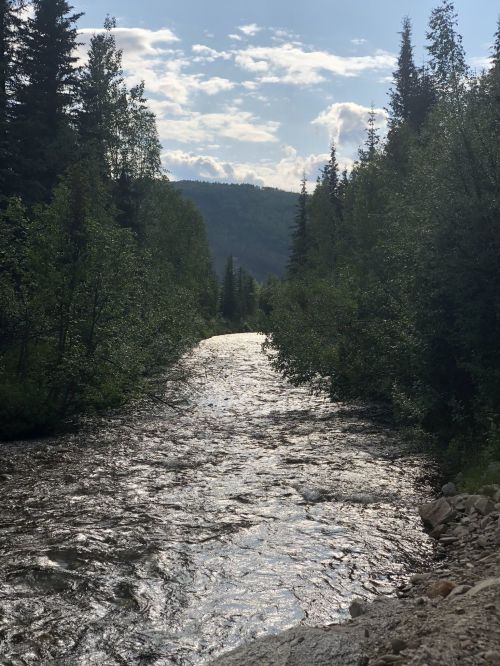 A serene river flows through a lush green landscape, surrounded by trees and mountains under a partly cloudy sky.