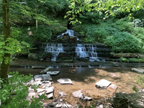 A serene waterfall cascades over rocks, surrounded by lush green foliage and a calm stream below.