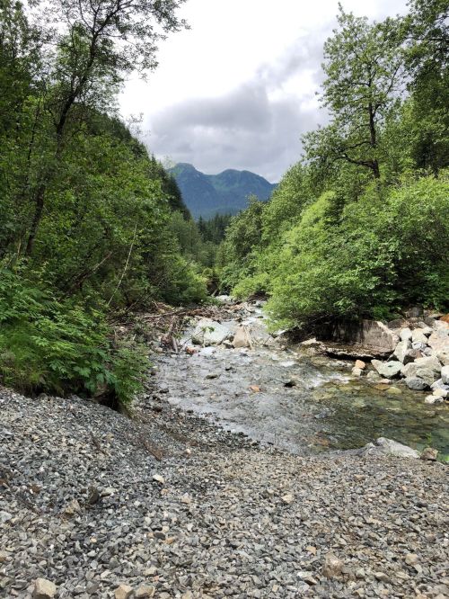 A rocky riverbank surrounded by lush greenery and mountains under a cloudy sky.