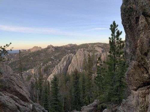 A scenic view of rugged mountains and pine trees under a clear sky, showcasing natural beauty and rocky terrain.