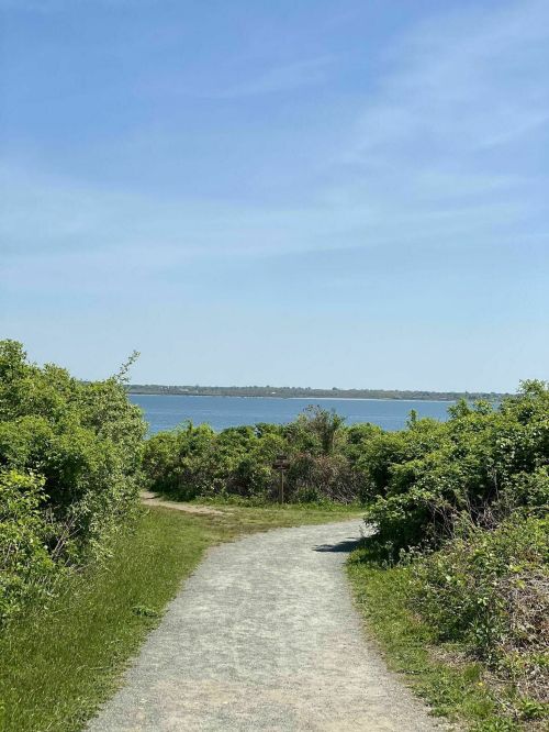 A gravel path leads through lush greenery to a serene body of water under a clear blue sky.