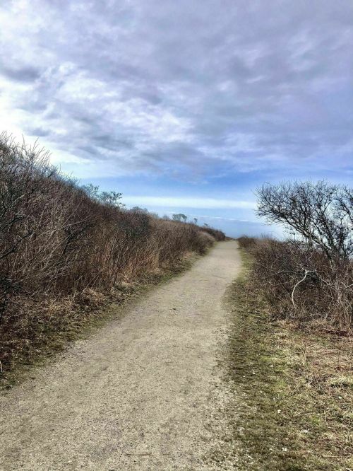 A winding dirt path through sparse vegetation under a cloudy sky.