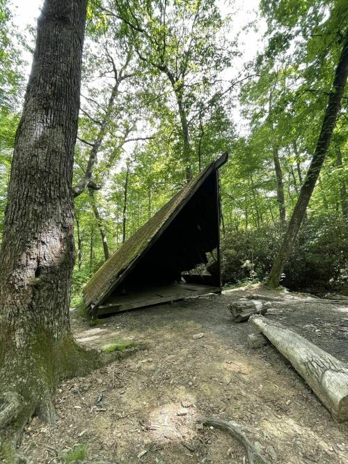 A tilted wooden shelter in a forest, surrounded by trees and a rocky ground, with a log nearby.