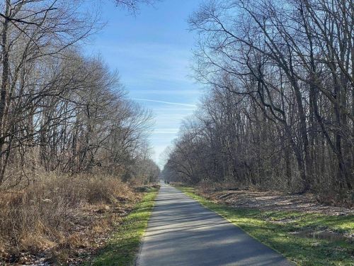 A serene pathway lined with bare trees under a clear blue sky, leading into the distance.