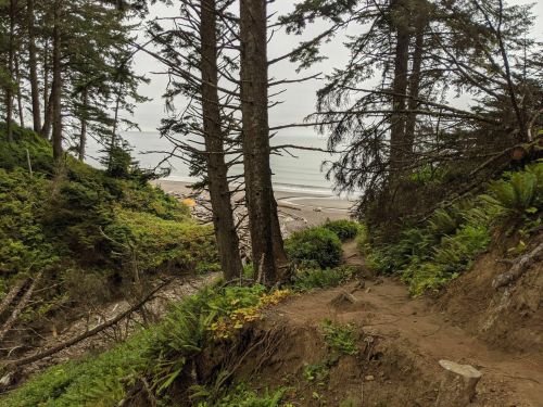 A forested path leads to a sandy beach, framed by tall trees and lush greenery under a cloudy sky.