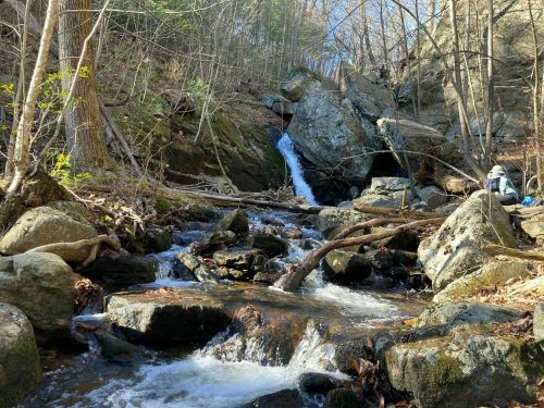 A serene stream flows over rocks, with a small waterfall in the background, surrounded by trees and boulders.