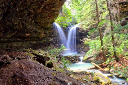 A serene waterfall cascades into a tranquil stream, surrounded by lush greenery and rocky terrain.