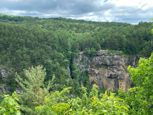 A lush green landscape featuring a rocky cliff and dense forest under a cloudy sky.