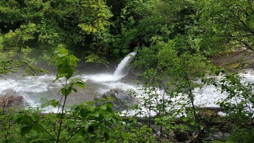 A serene river flows through lush greenery, with a small waterfall cascading into the water amidst rocks and foliage.