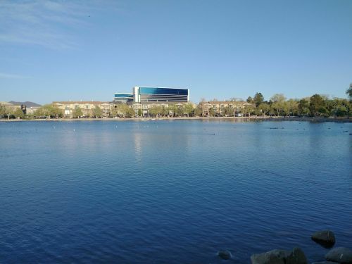 A calm lake reflects a clear blue sky, with a modern building and trees lining the shore in the background.