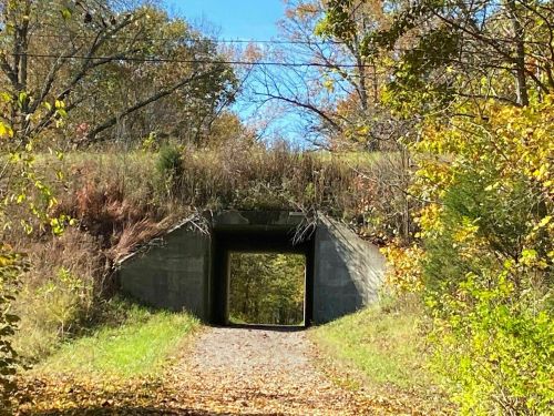 A concrete tunnel entrance surrounded by greenery and autumn foliage, leading into a bright, open space.