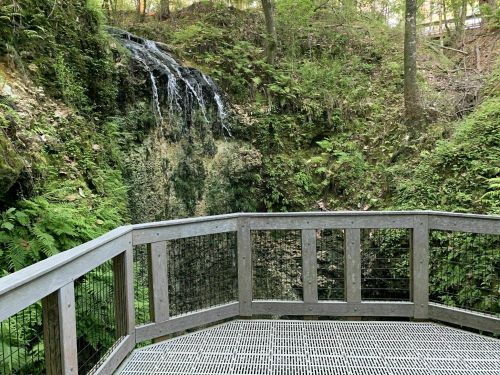 A wooden observation deck overlooks a lush green area with a small waterfall and surrounding foliage.