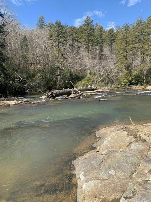 A serene river flows through a forested area, with rocks and fallen trees along the banks under a clear blue sky.