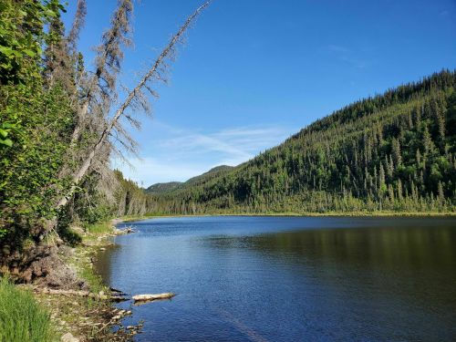 A serene lake surrounded by lush green hills and trees under a clear blue sky.