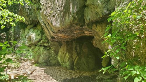 A rocky cave entrance surrounded by lush green foliage and trees in a natural setting.