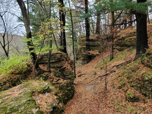 A winding trail through a forest with rocky outcrops, surrounded by trees and scattered autumn leaves.