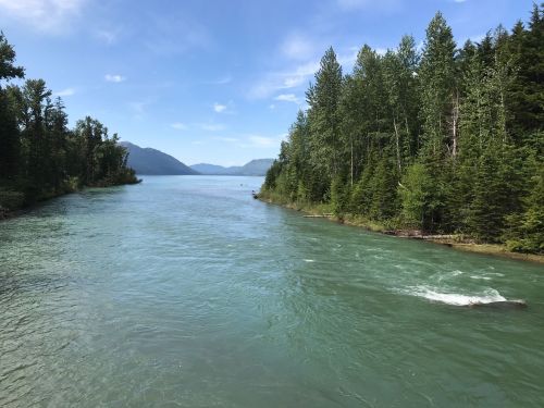 A serene river flows through lush green forests under a clear blue sky, with mountains in the distance.