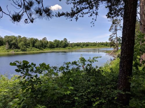 A serene river scene surrounded by lush greenery and trees under a clear blue sky.