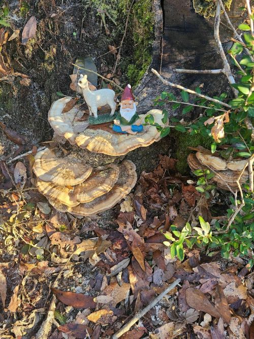 A gnome figurine sits on large mushrooms beside a small white deer, surrounded by fallen leaves and greenery.
