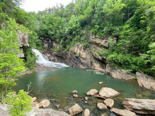 A serene waterfall cascades into a green pool, surrounded by lush trees and rocky cliffs.