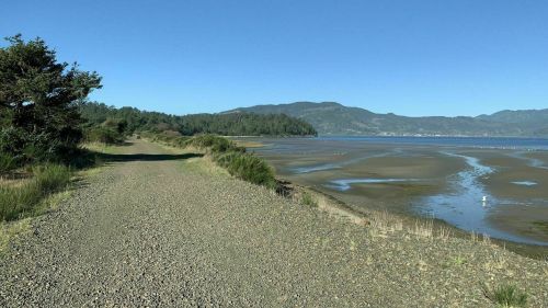 A gravel path along a shoreline with low tide, surrounded by greenery and mountains in the background under a clear blue sky.